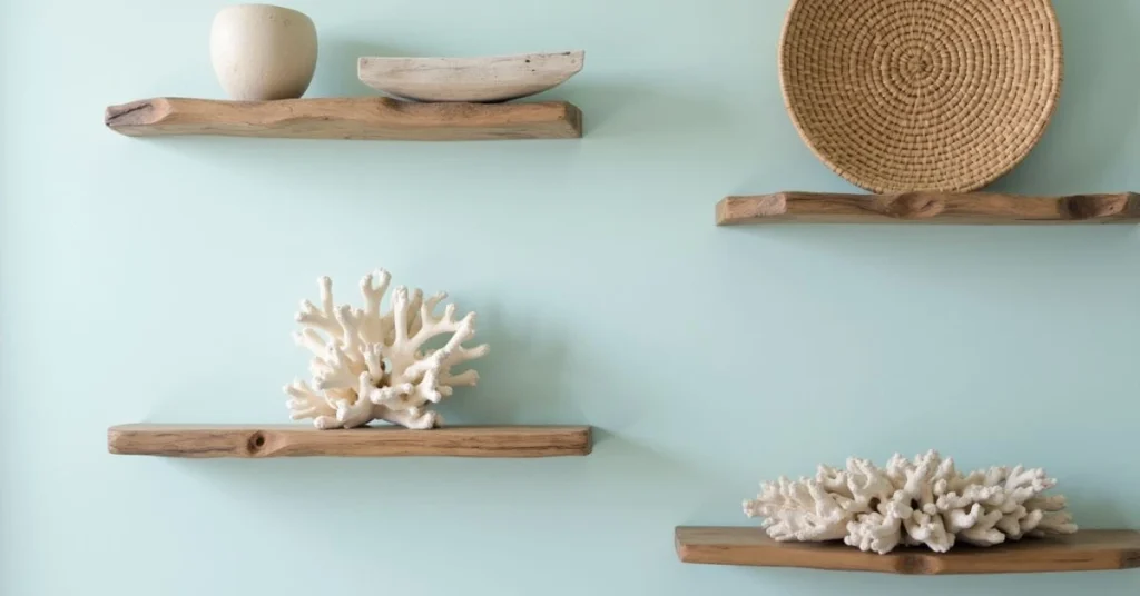 Close-up of driftwood shelves and coral sculptures against a light blue wall.